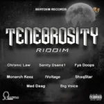Tenebrosity Riddim – Bertdem Records