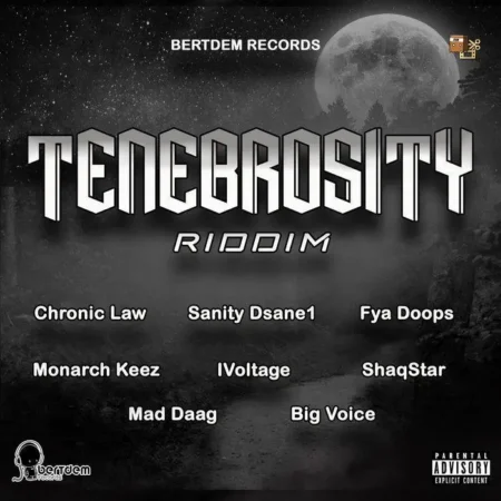 tenebrosity riddim - bertdem records