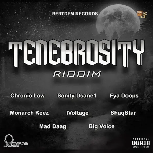 tenebrosity riddim - bertdem records