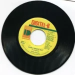 Terminator Riddim (1997) – Stringray
