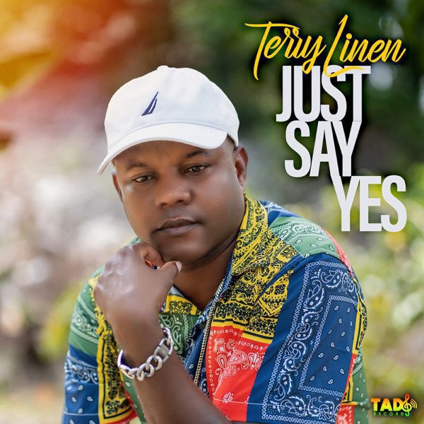 Terry Linen – Just Say Yes