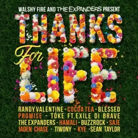 thanks for life riddim - walshy fire