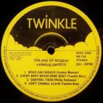 The Age Of Reggae – Twinkle Music