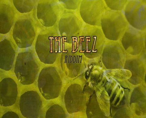The Beez Riddim