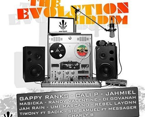 The Evolution Riddim