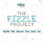 The Fizzle Project Riddim – DJ Private Ryan