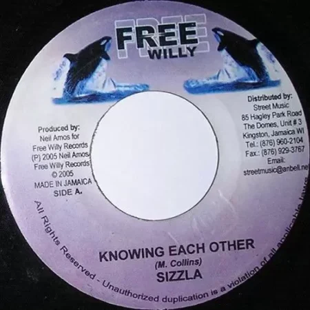 the handle riddim - free willy