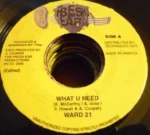 The Hummer Riddim – Fresh Ear Production
