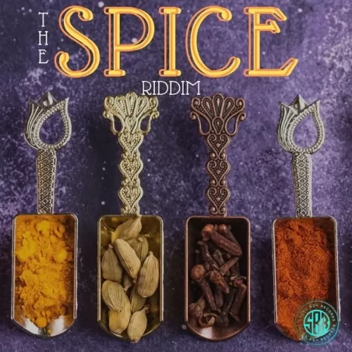 the spice riddim - sbr records