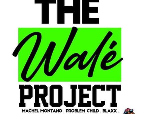 the-wale-project-fox-fuse