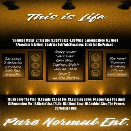 this is life riddim - paronormal entertainment
