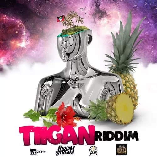 tiigan riddim - sns / riddimstream