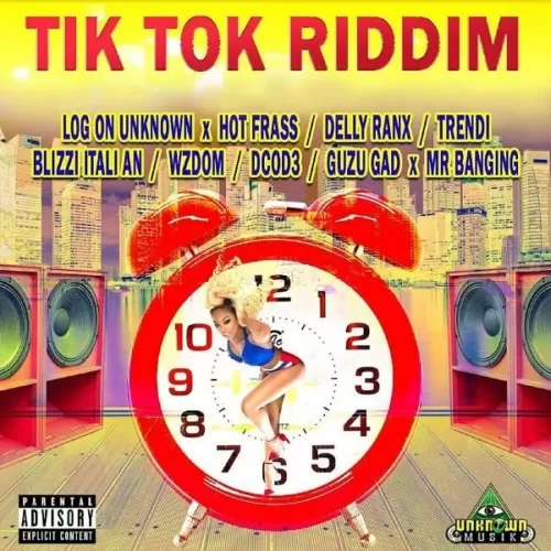 tik tok riddim - unknown musik international