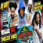 Timeless Vibes Reggae Mixtape – Dj Gat