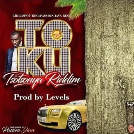 tokutsotsonya riddim - chillspot records