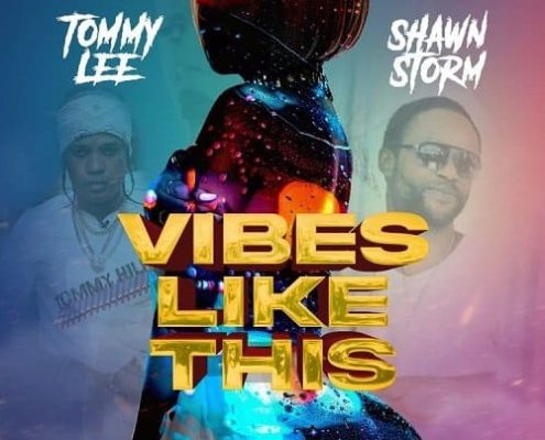 Tommy Lee Sparta Shawn Storm Vibes Like This