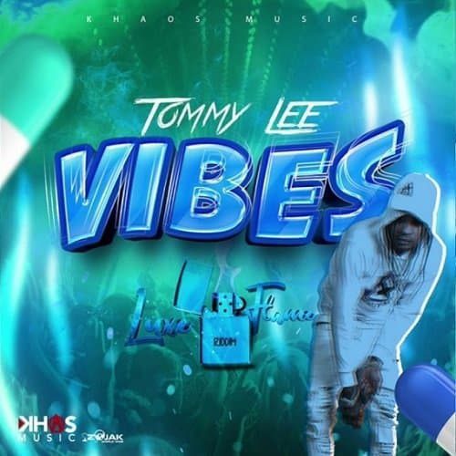 tommy lee sparta - vibes