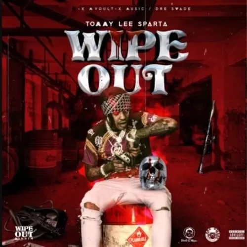 tommy lee sparta - wipe out