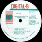 Too Good To Be True – Digital-b