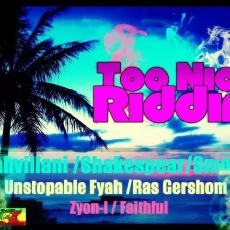 too nice riddim - junkyard music productions