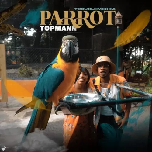 topmann - parrot