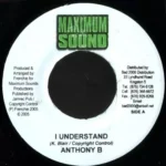 Tribute To Downbeat Riddim Pt 2 (2005) – Maximum Sound