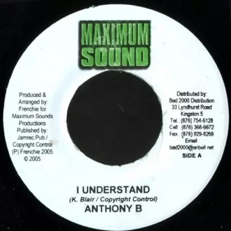 tribute to downbeat riddim pt 2 - maximum sound