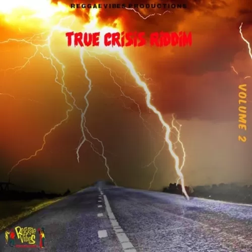 true crisis riddim, vol. 2 - reggae vibes productions