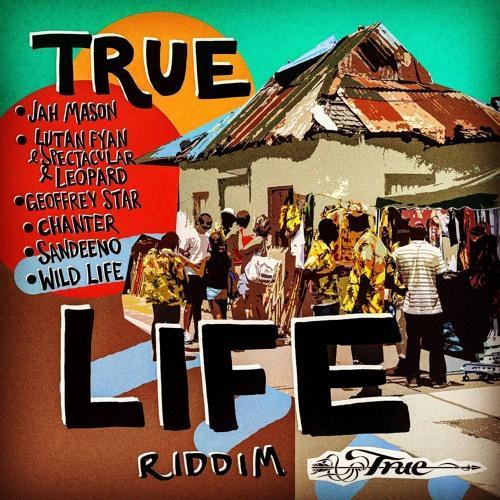 true life riddim - true sounds