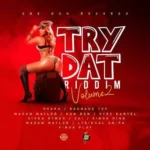 Try Dat Riddim Vol 2 – One Don Records