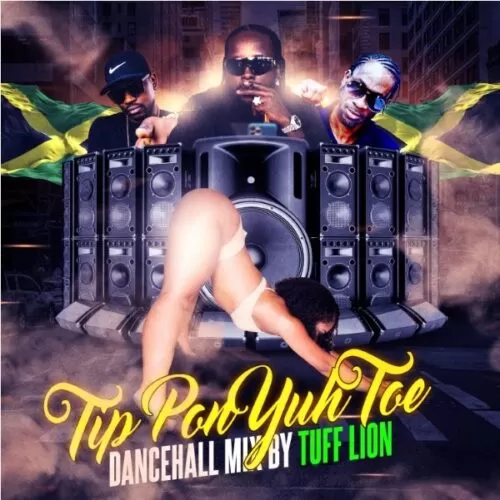 dj tuff lion - tip pon yuh toe (dancehall mixtape)