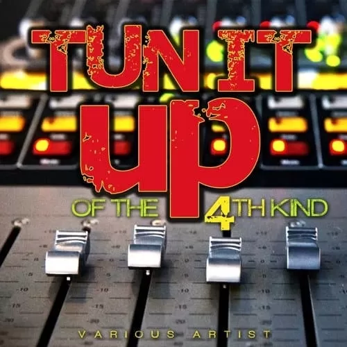 tun it up of the 4th kind - heavybeat records