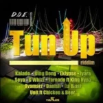 Tun Up Riddim (2014) – Darker Shades / Divine Order Ent