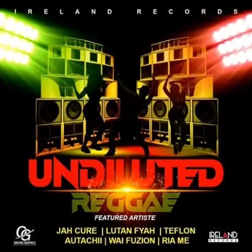 undiluted reggae riddim - ireland records