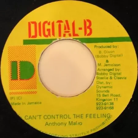 undying love riddim - digital-b