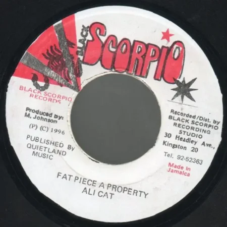 Unknown Riddim – Ban Mi Fi Di Truth – Greensleeves Records unknown riddim - ban mi fi di truth - greensleeves records