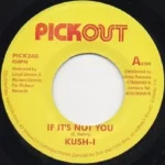 Unknown Riddim (2005) – Pickout