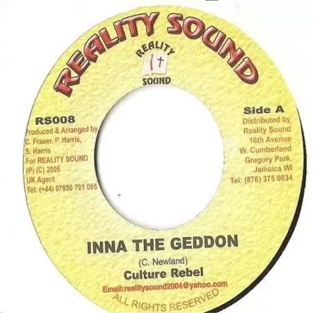 unknown riddim - reality sound