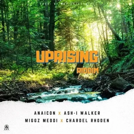 uprising riddim - aandp enterprise