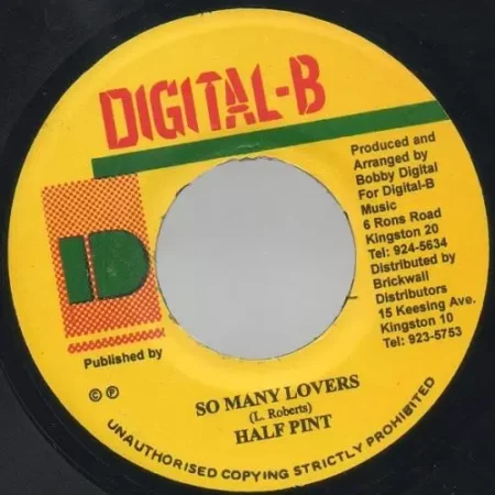 Vanity Riddim - Digital B