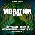 Vibration Riddim (2020) – Buzwakk Records