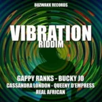 Vibration Riddim (2020) – Buzwakk Records