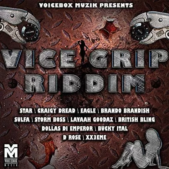 vice grip riddim - voicebox muzik