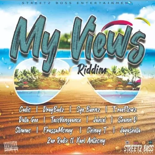 my views riddim - streetz boss entertainment