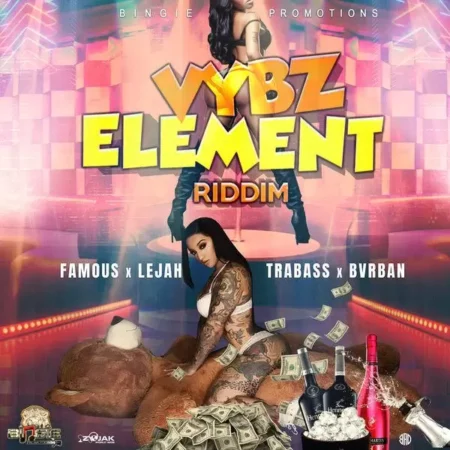 vybz element riddim - bingie promotions