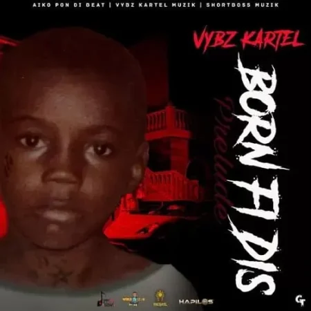 vybz kartel - born fi dis album