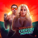 vybz kartel tashina muzik cherish the moment 1