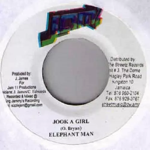 waterhouse riddim / jook a girl riddim - jam 2 records