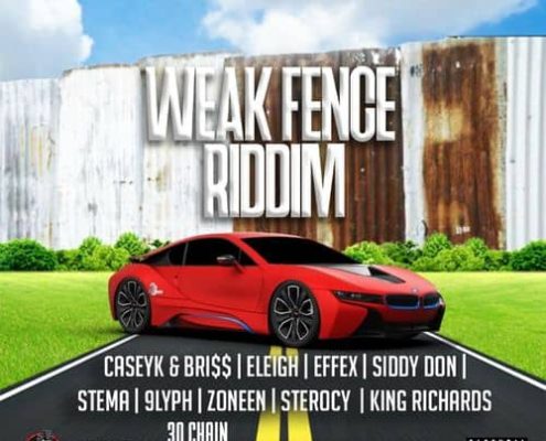 Weak Fence Riddim