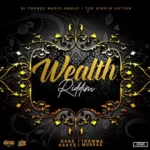 Wealth Riddim – Dtmg / The Riddim Nation